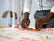 neuland-charterobe-mobiler-papier-archivst-nder image 7