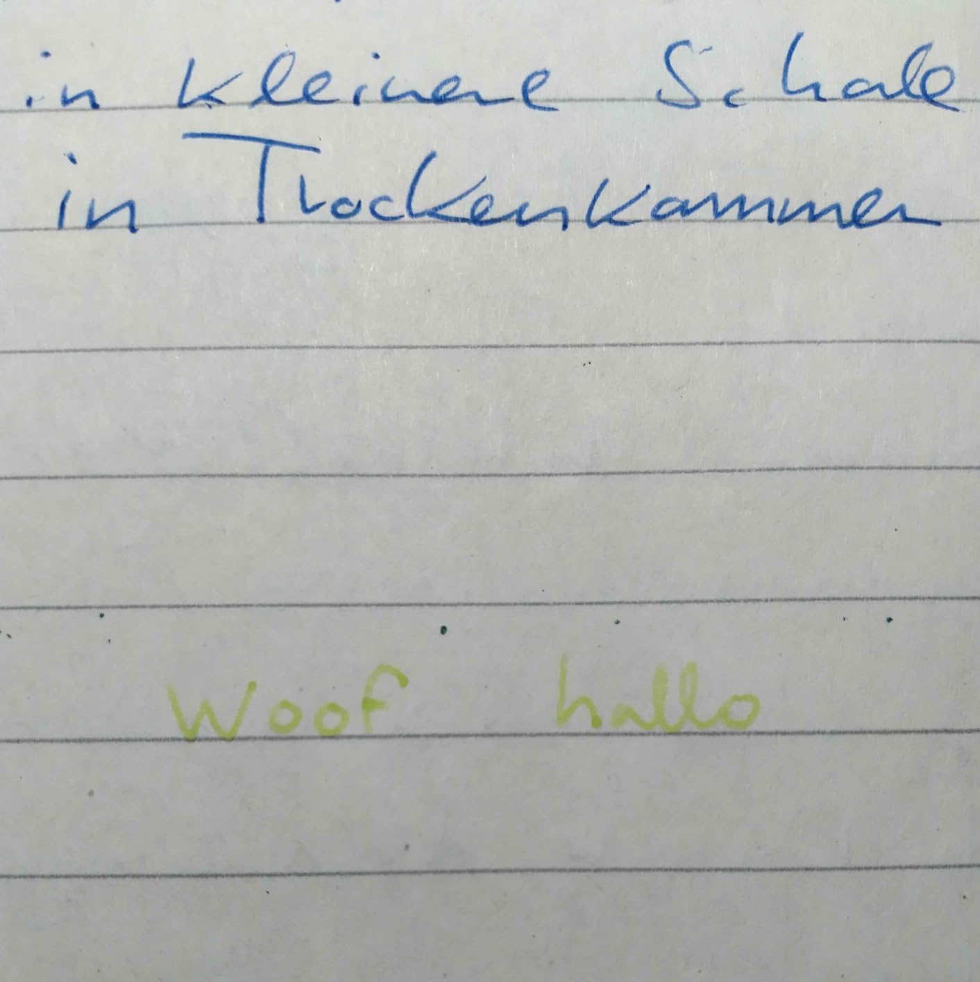 Endlich Nachschub