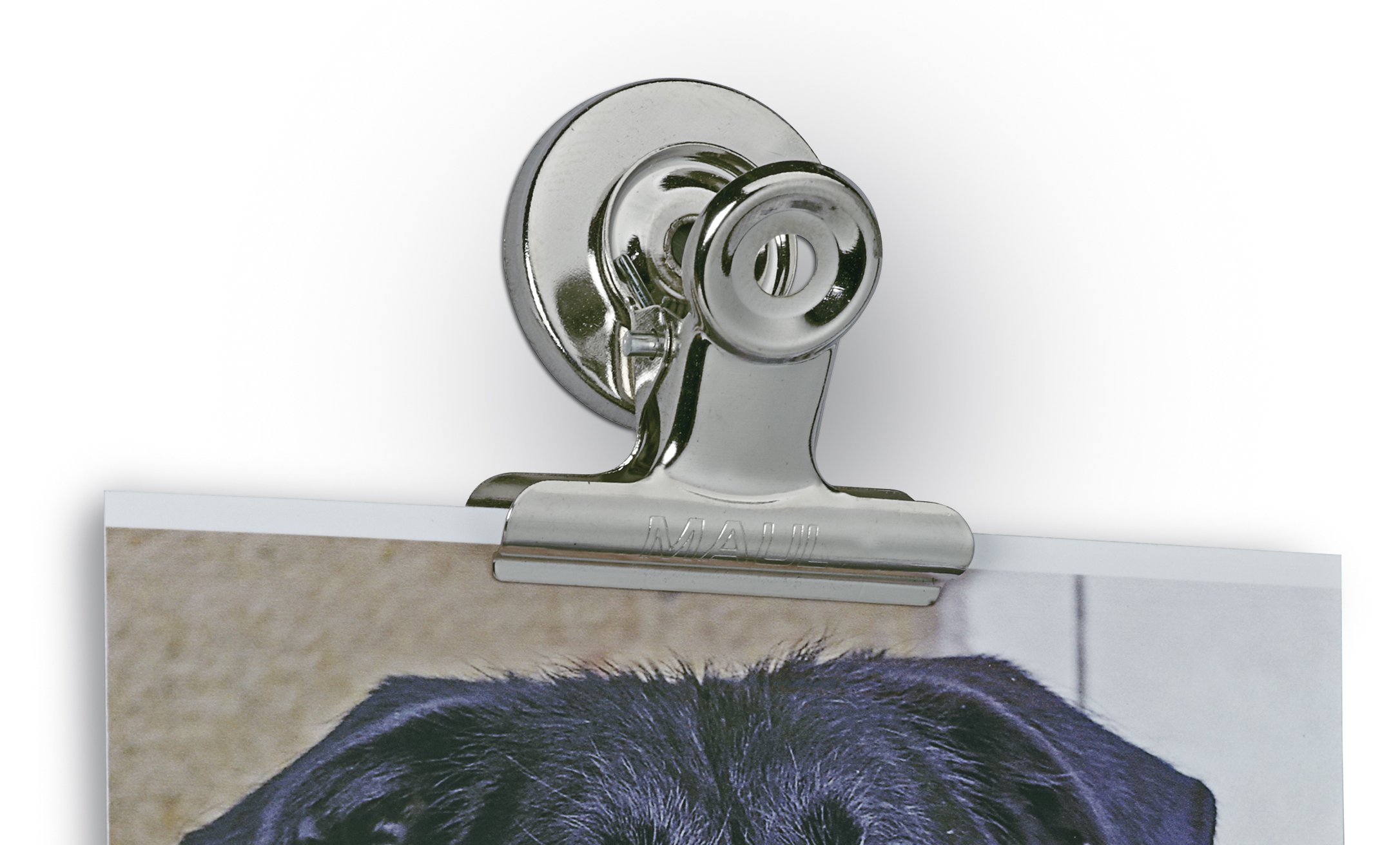 maul-papierklemmer-magnet-maulstandard-silber-2er-set image 5