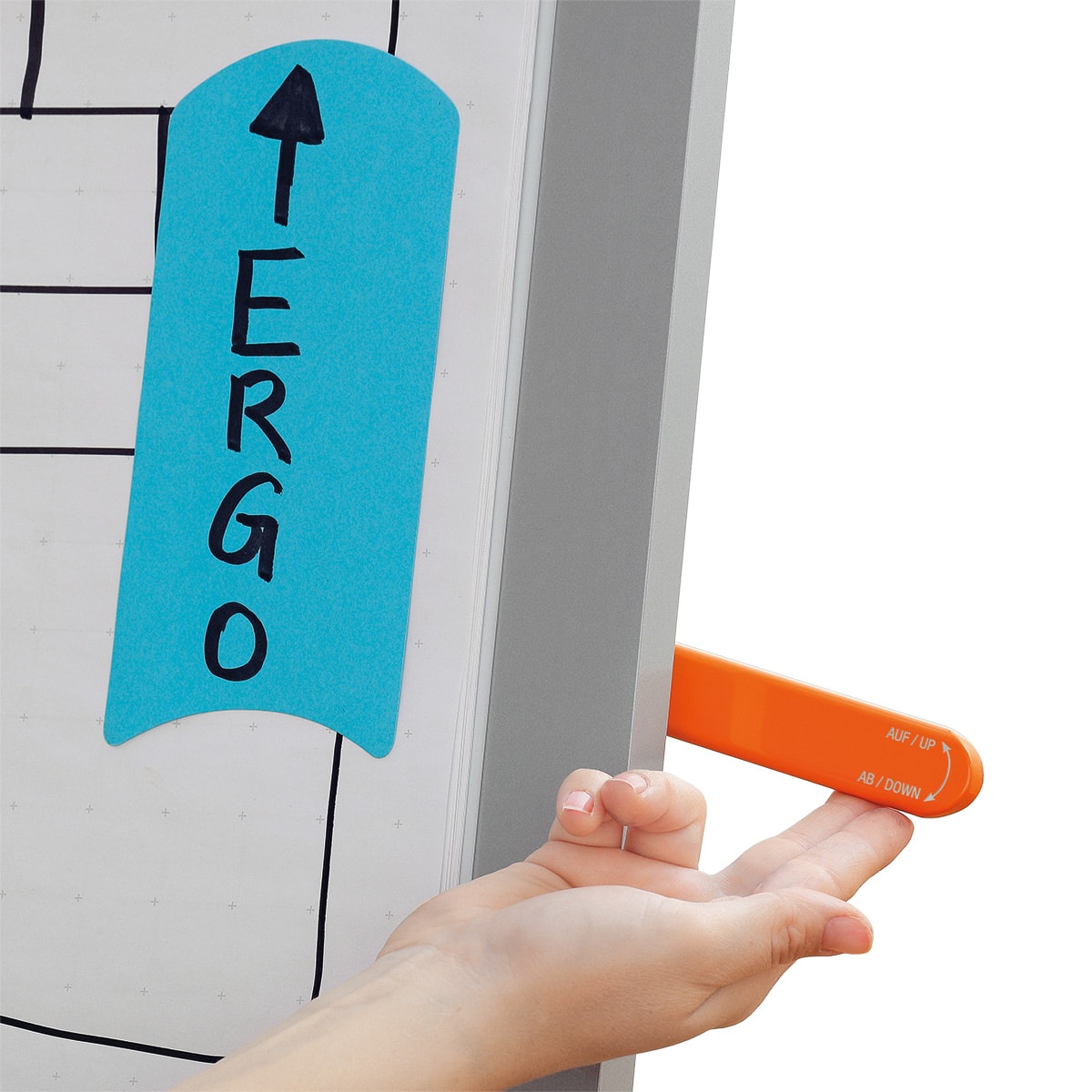 neuland-flipchart-b-vario-ergo-h-henverstellbarer-s-ulen-flipchart image 2
